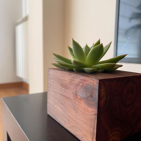 Apartamento Nuskis Porriño Exteriér fotografie