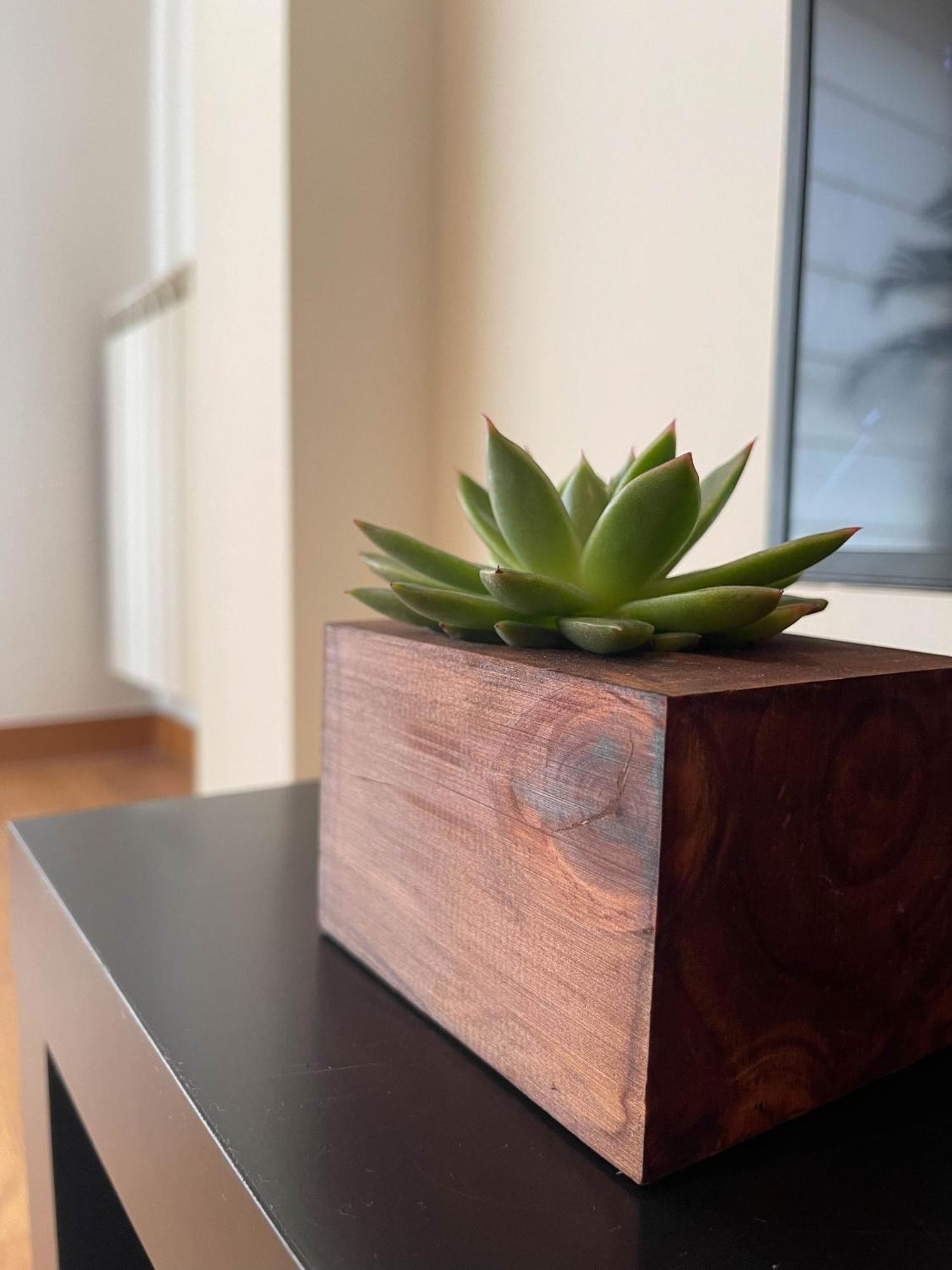 Apartamento Nuskis Porriño Exteriér fotografie